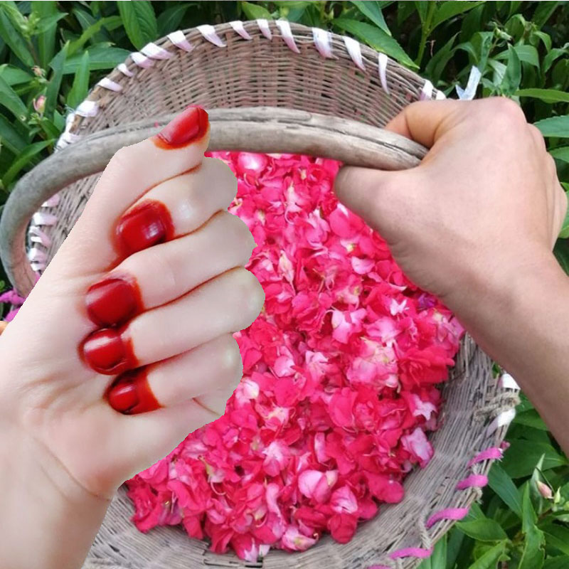 Nail Art Red - 40g ヘナネイル染料パウダー 男女兼用 天然植物ヘナ 深紅茶色 ネイルシャインパウダー